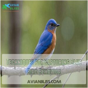 Techniques for Capturing Blue Bird Behavior