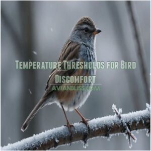 Temperature Thresholds for Bird Discomfort