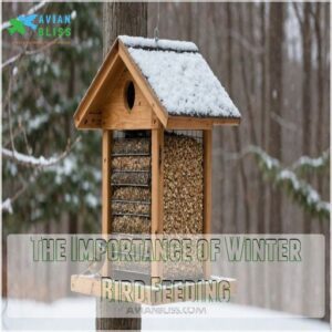 The Importance of Winter Bird Feeding