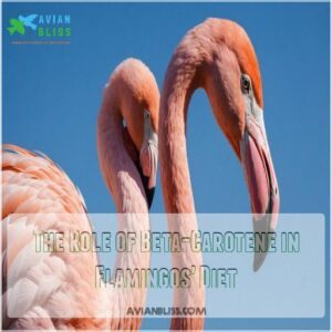 The Role of Beta-Carotene in Flamingos