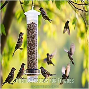 Thistle Feeders for Finches