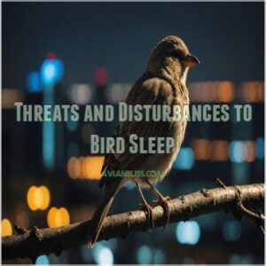 Threats and Disturbances to Bird Sleep