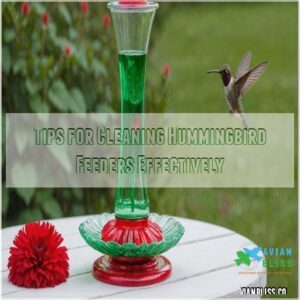 Tips for Cleaning Hummingbird Feeders Effectively