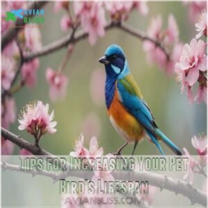 Tips for Increasing Your Pet Bird