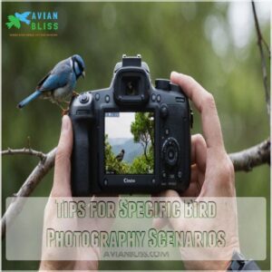 Tips for Specific Bird Photography Scenarios