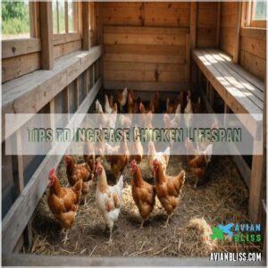 Tips to Increase Chicken Lifespan