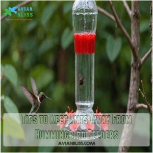 Tips to Keep Ants Away From Hummingbird Feeders