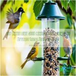 top rated bird seed mixes