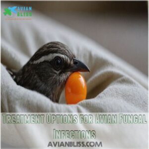 Treatment Options for Avian Fungal Infections