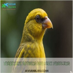 Treatment Options for Beak Problems