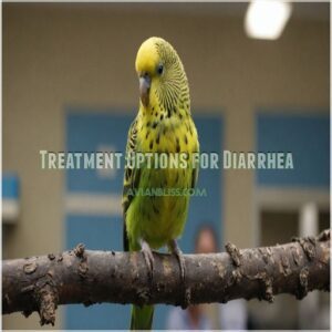 Treatment Options for Diarrhea