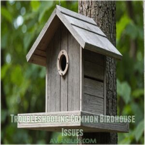 Troubleshooting Common Birdhouse Issues