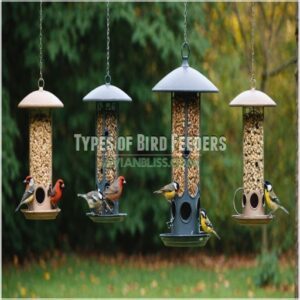 Types of Bird Feeders