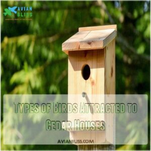 Types of Birds Attracted to Cedar Houses