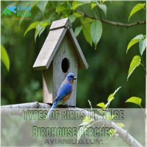 Types of Birds That Use Birdhouse Perches