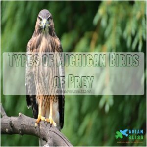 Types of Michigan Birds of Prey