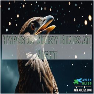 Types of Noisy Birds at Night