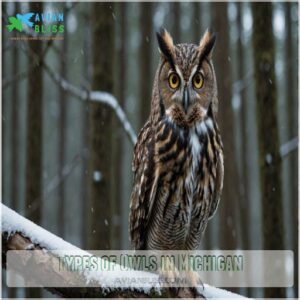 Types of Owls in Michigan