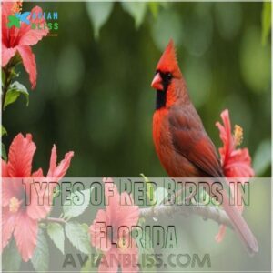 Types of Red Birds in Florida