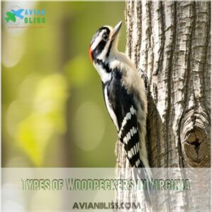 Types of Woodpeckers in Virginia