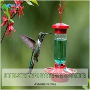 Understanding Hummingbird Behavior