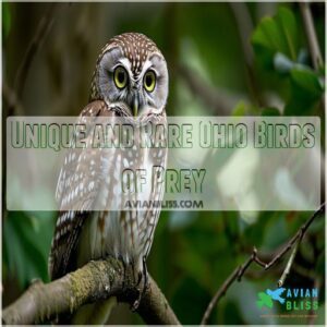 Unique and Rare Ohio Birds of Prey