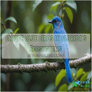 Unique Blue Birds in Florida