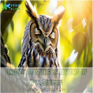 Unique Roosting Behaviors of Owl Species