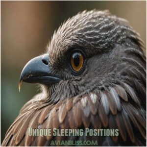 Unique Sleeping Positions