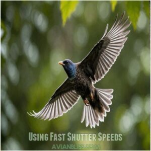 Using Fast Shutter Speeds