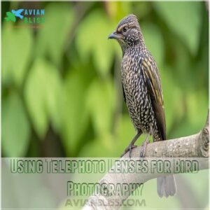 Using Telephoto Lenses for Bird Photography