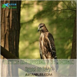 Viewing and Appreciating Michigan Birds of Prey