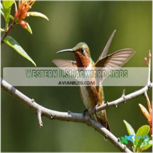 Western U.S Backyard Birds