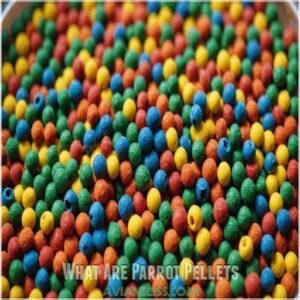 What Are Parrot Pellets