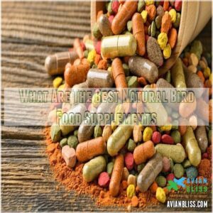 What Are The Best Natural Bird Food Supplements