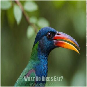 What Do Birds Eat