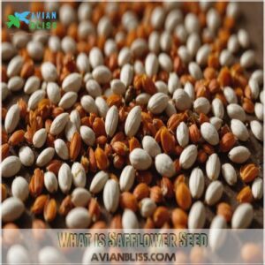 What is Safflower Seed