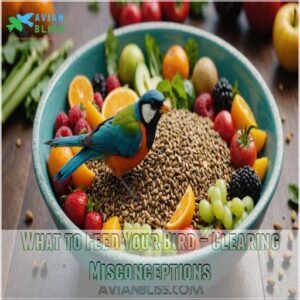 What to Feed Your Bird – Clearing Misconceptions