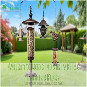 What to Look for in a Bird Feeder Pole