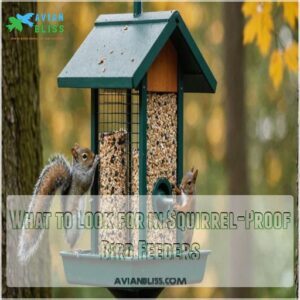 What to Look for in Squirrel-Proof Bird Feeders