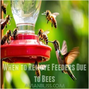 When to Remove Feeders Due to Bees