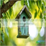 where to buy bird houses online