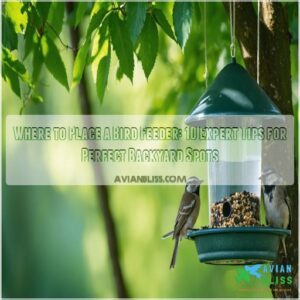 where to place a bird feeder