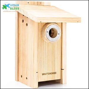 WHITEHORSE Premium Cedar Bird House