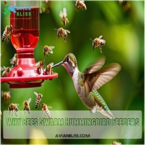 Why Bees Swarm Hummingbird Feeders