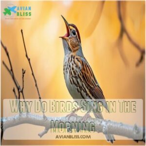 Why Do Birds Sing in The Morning