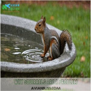 Why Squirrels Are a Problem