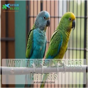 Why The Best Bird Cage Matters