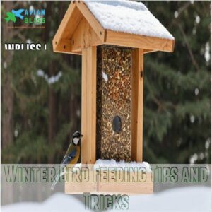 Winter Bird Feeding Tips and Tricks