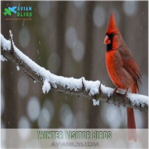 Winter Visitor Birds